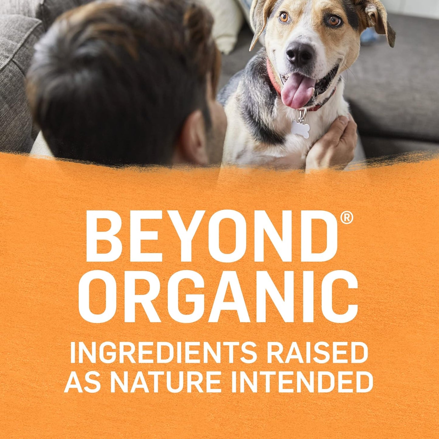 Purina Organic Wet Dog Food, Organic Chicken & Carrot Adult Recipe Ground Entrée with Broth - (Pack of 12) 13 Oz. Cans