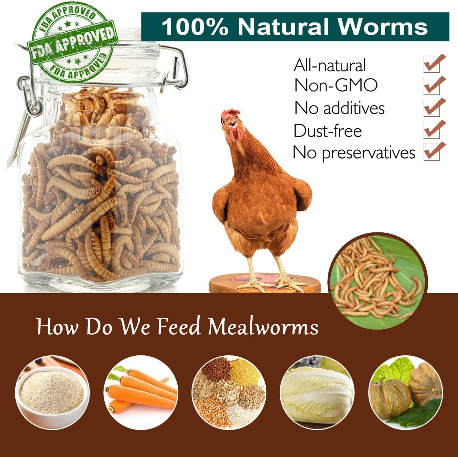 Non-Gmo High-Protein Large Dried Mealworms for Chickens, Natural Grubs and Poultry Treats as Chicken Feed,Duck Food, Wild Birds Seed,Fish Food,Reptile Food,Amphibian Food(Mealworms-5Lb)