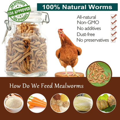 Non-Gmo High-Protein Large Dried Mealworms for Chickens, Natural Grubs and Poultry Treats as Chicken Feed,Duck Food, Wild Birds Seed,Fish Food,Reptile Food,Amphibian Food(Mealworms-5Lb)