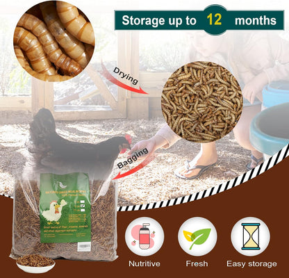 Non-Gmo High-Protein Large Dried Mealworms for Chickens, Natural Grubs and Poultry Treats as Chicken Feed,Duck Food, Wild Birds Seed,Fish Food,Reptile Food,Amphibian Food(Mealworms-5Lb)